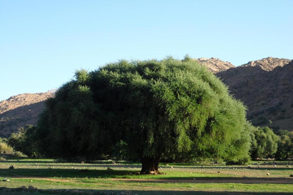 Отель Click Excursions Tafraoute Taddart Экстерьер фото